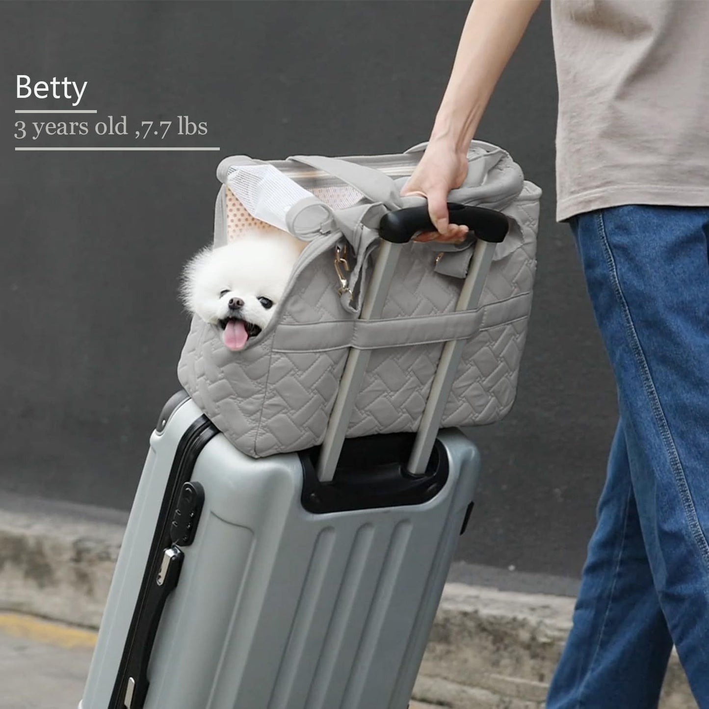 Bolso de mano para gatos, para perros pequeños, para gatos y cachorros, grande, con múltiples bolsillos, de malla transpirable, con cojín suave, para viajes, para mascotas, para picnic al aire libre